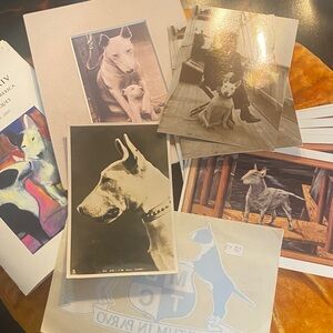 Vintage Dog Art Print Collection